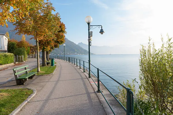 Gmunden austria 'da sonbahar yürüyüşü gölü Traunsee bankları ve kestane ağaçları ile geziniyor.