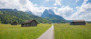bike and hike way from Garmisch to Grainau, buttercup meadows with huts, spring landscape  upper bavaria with mountain view Wetterstein Alps clipart