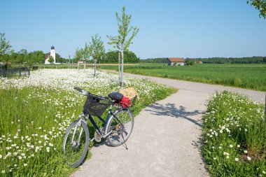 Marguerite çayırlarında, Hohenkirchen, Bavyera 'nın eteklerinde bisiklet