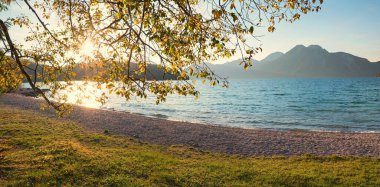 Walchensee Gölü 'nde altın gün batımı. Güneş sonbahar dallarında parlar. Yukarı Bavyera manzarası