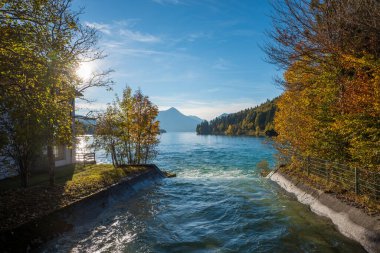 Rissbachstollen streaming into lake Walchensee, autumnal landscape bavaria. view to Herzogstand mountain clipart