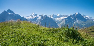 Grindelwald 'dan Eiger' a, Schreckhorn 'a ve Wetterhorn dağına, Bernese Alpleri manzarasına kadar...