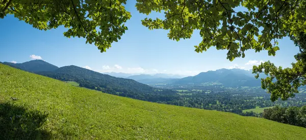 stock image view from hiking trail Sunntraten, to Lenggries in the valley and Brauneck mountain. summer landscape with green meadow and branches, upper bavaria