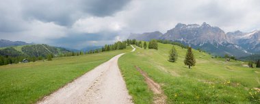 hiking trail on the plateau of Pralongia to Piz Sorega, Dolomites alps. Landscape south tyrol clipart