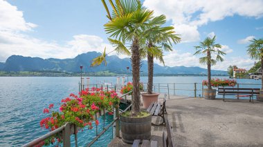 Geminin iniş sahnesi Oberhofen, Thunersee Gölü, palmiye ağaçları ve sardunya saksısı