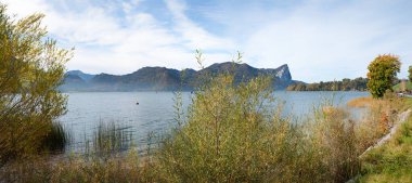 Mondsee Gölü 'nün cennet gibi sonbahar manzarası. Drachenstein Dağı, Avusturya manzarası. Salzkammergut Sörfçülüğü.