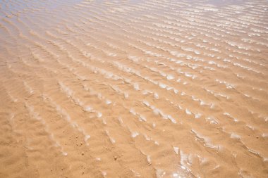 Dalgalı kumlu zemin, biraz suyla, alçak gelgitle. doğal arkaplan