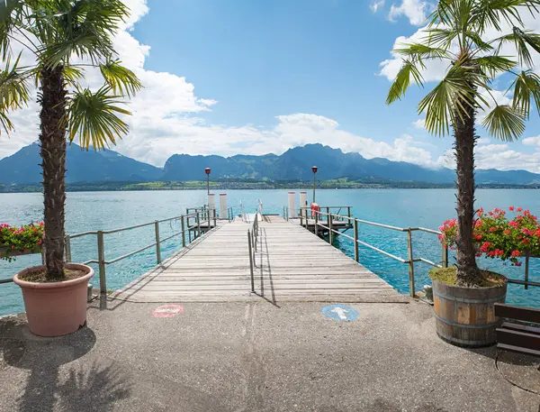 İniş sahnesi Oberhofen, Thunersee Gölü. Yanında palmiye ağaçları olan tencereler. turizm beldesi İsviçre