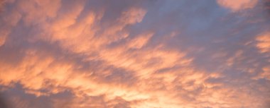 beautiful wide sunset sky panorama with pink mammatus clouds clipart