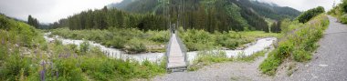 hanging bridge over torrential Landquart river, wild lupins at the riverside, prattigau Switzerland landscape canton grisons clipart