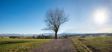 hiking route to Kleinhohenrain,near Bruckmuhl, with bare tree and view to bavarian alps, in january clipart