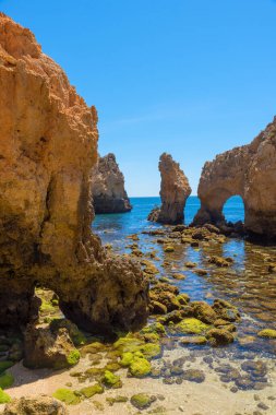 Ponta Piedade, Lagos Portekiz 'deki uçurum manzarası. Algarve 'deki ünlü turizm merkezi. Yeşil yosunlu taşlar.