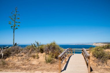 Güzel Atlantik kıyısında sahil yürüyüşü, Ponta da Piedade Lagos, Agave bitkisi ve mavi gökyüzü fotokopi alanı