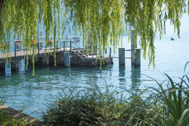 view under hanging willow branches to the pier, ship landing station Faulensee, lake Thunersee. tourist destination Bernese Oberland, switzerland clipart