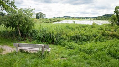 wooden bench at lake shore Egglburger See, view to protected area for birds. landscape upper bavaria clipart