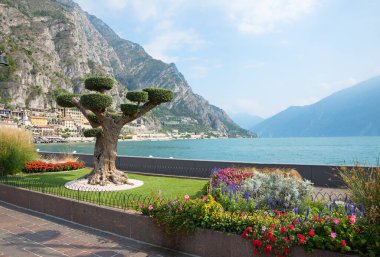 Göl kıyısında çam ağacı ve çiçekli güzel bir çiftlik Limon konsolosu Garda, turizm beldesi İtalya, Gardasee Gölü..