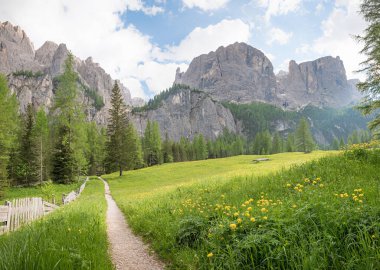 Colfosco 'dan Pisciadu Şelalesi' ne giden patika, Dolomite Alpleri, güney Tyrol. Trol çiçekleri ile cennet gibi bahar manzarası