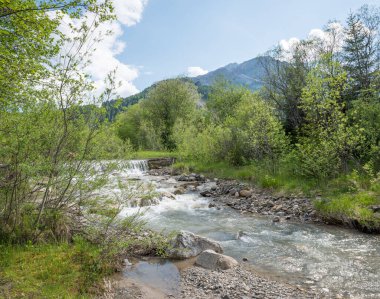 Taşlı Gader nehri, yanında ağaçlar. Turizm beldesi Corvara, Kurfar, Dolomitler güney Tyrol 'de
