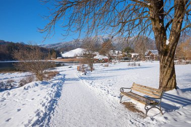 walkway with wooden bench under tree, spa garden Schliersee winter landscape. tourist resort upper bavaria. clipart