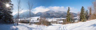 winter hiking path Fischhausen, landscape bavarian alps. bright sunshine in the spruce tree. clipart