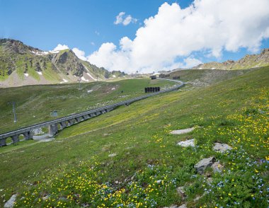 Davos 'un üstündeki Parsenn bölgesindeki demiryolunun rayları. Çiçekli bahar manzarası ve unutma-beni-notları, kanton hapishaneleri.