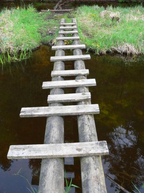Bataklık bataklığının üzerindeki tahta köprü.