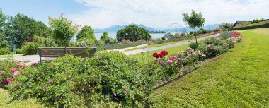 Gül ve bankların olduğu cennet parkı manzarası, turist beldesi Gstadt, göl manzarası. Yaz manzarası Yukarı Bavyera