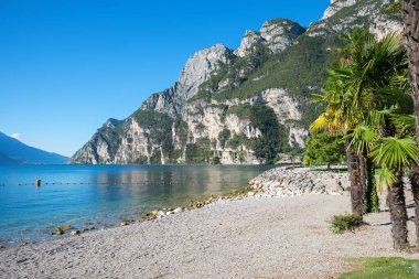 Plaj Riva del Garda, palmiye ağaçları ve dağ manzaralı. Kuzey İtalya 'daki Gardasee Gölü kıyısında turistik bir yer..