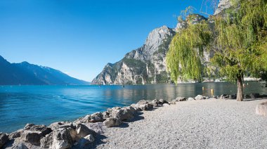 Riva del Garda plajı, söğüt ağacı, çakıl, kaya ve dağ manzaralı. Turizm merkezi Gardasee Gölü, İtalya