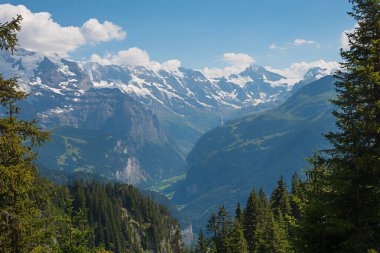 Schynige Platte dağından Lauterbrunnen vadisine ve Bernese Alplerine bakın. Yürüyüş istikameti yabanıl, İsviçre