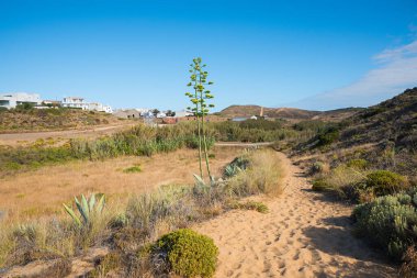 footpath through sandy dunes with agave beside, West Algarve Portugal Carrapateira tourist destination clipart