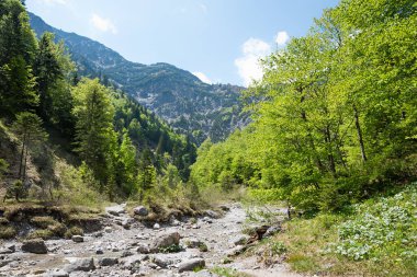 Bahar zamanı Kreuth yakınlarındaki Weissach nehrinden geçen patika. Mayıs 'ta üst bavyera manzarası. Wolfsschlucht 'a yürüyüş rotası.