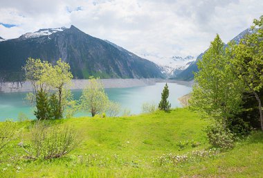 Bahar manzaralı baraj gölü Schlegeisspeicher, çalılı ve çiçekli yeşil çayır, Zillertal Alpleri Avusturalya
