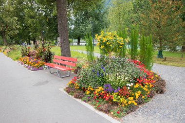 Nehir kenarındaki güvertede kırmızı bank. Etrafı renkli çiçeklerle çevrili. lantana, tagetes, alyssum, salvia, canna, begonias. Turizm beldesi Thun, İsviçre