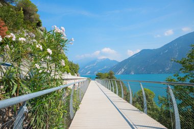 idyllic new hiking and bike route near Limone sul Garda, blooming oleander, stunning lake views of Gardasee. italian tourist attraction. handrail and mesh for security.