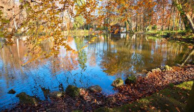 Sonbahar spa bahçesi Kötü Aibling, mavi göl Irlachsee, renkli turuncu kayın yapraklı dallar, ekim ayında Bavyera manzarası