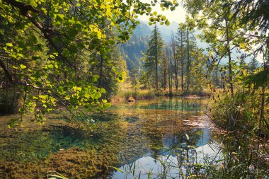 Eschenlohe yakınlarındaki Sieben Quellen göletli sonbahar bozkırları. üst bavyera