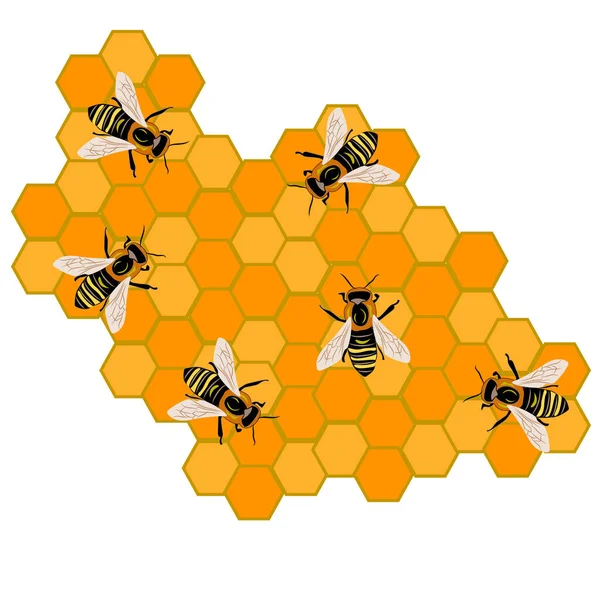 stock vector Many cute bees on honeycombs.