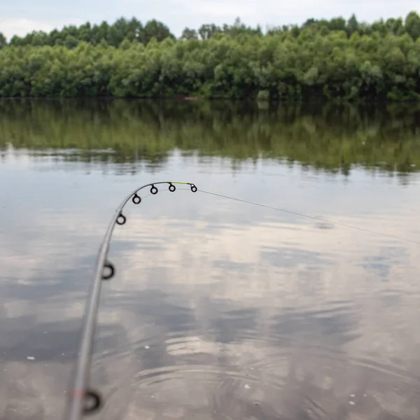 Nehrin arka planında doğayla besleyici çubuk var.