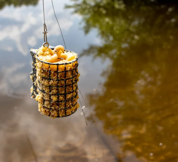 Kanca ve kurtçuklarla yem avlamak için yem.