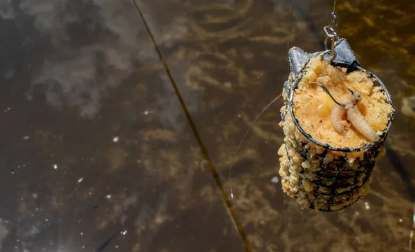 Kanca ve kurtçuklarla yem avlamak için yem.