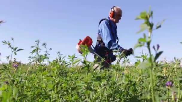 Giardiniere Anziano Falcia Erba Alta Uomo Lavora Nel Campo Falcia — Video Stock
