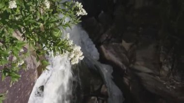 Güneşli bir havada kayaların üzerinden akan köpüklü akıntılı vahşi dağ nehrinin dikey videosu. Doğal manzara, temiz su, rahatlatıcı doğa sahnesi, seyahat ve ekoloji.