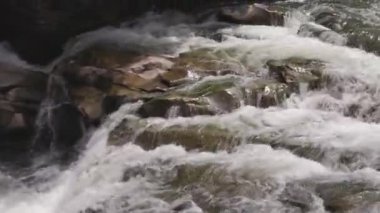 Güçlü dağ nehri ıslak kayaların üzerinden köpüklü beyaz akıntılarla akıyor. Güneş ışığındaki doğal vahşi su akıntısı doğa, seyahat ve meditasyon için mükemmeldir..