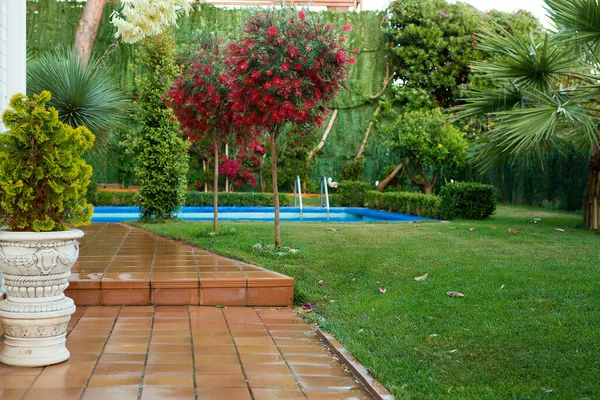 俯瞰一座豪华别墅内设有游泳池的小花园 被树木和植物环绕的游泳池 — 图库照片