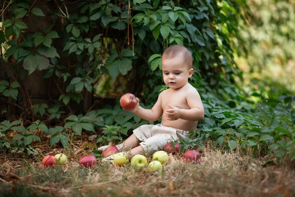 Little Boy Apples Garden Portrait Little Happy Boy Picnic Outdoor — Stock Photo, Image