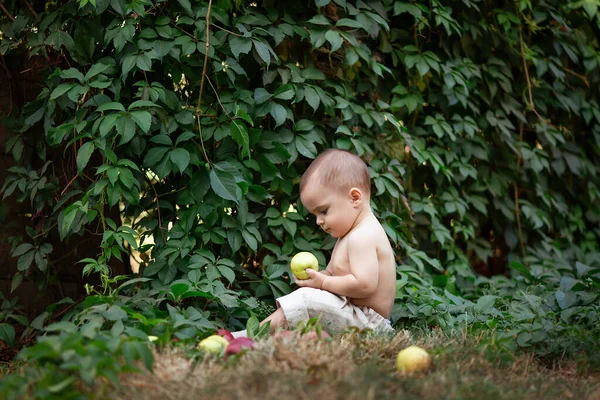 Niño Pequeño Con Manzanas Jardín Retrato Niño Feliz Picnic Concepto —  Fotos de Stock