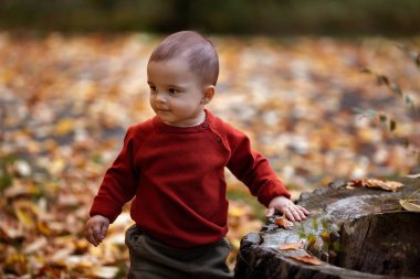 Küçük sevimli erkek bebek sonbahar parkında sarı yapraklarla oynayıp eğleniyor..