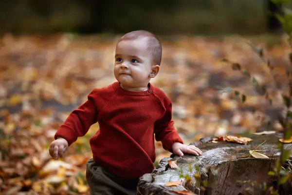 Roztomilý Chlapeček Hraje Baví Podzimním Parku Žlutými Listy — Stock fotografie