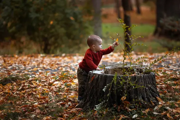 Χαριτωμένο Αγοράκι Παίζει Και Διασκεδάζει Στο Πάρκο Του Φθινοπώρου Κίτρινα — Φωτογραφία Αρχείου